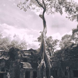 Meet your Posher, Lak